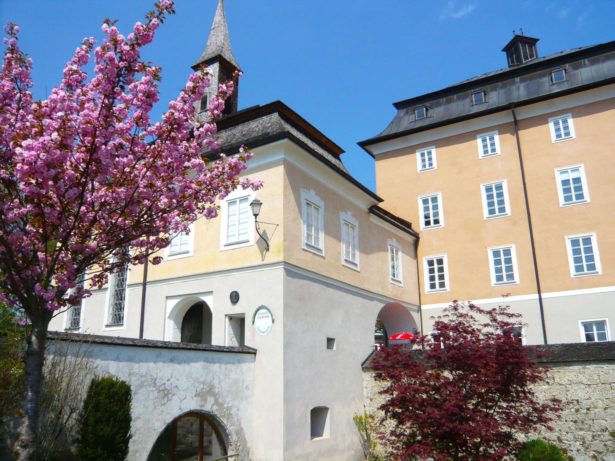 Haus Am Weinberg Apartment Seekirchen am Wallersee Luaran gambar