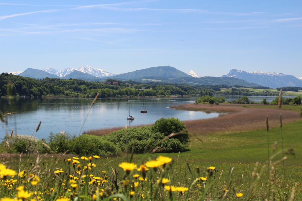 Haus Am Weinberg Apartment Seekirchen am Wallersee Luaran gambar
