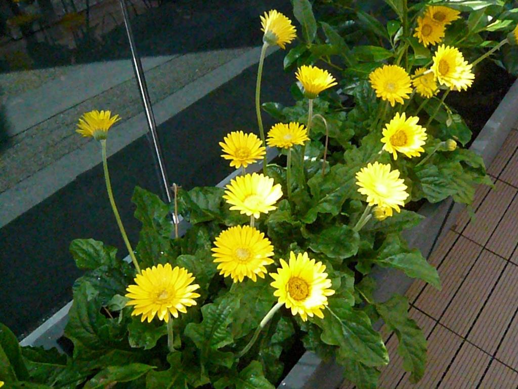 Haus Am Weinberg Apartment Seekirchen am Wallersee Luaran gambar
